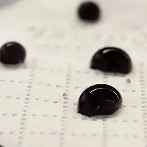 Absorbent paper treated in plasma to he hydrophobic